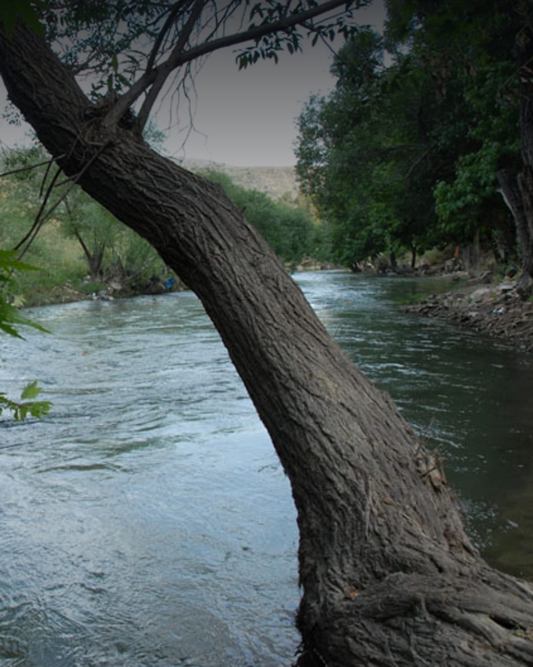 The Litani River in southern Lebanon