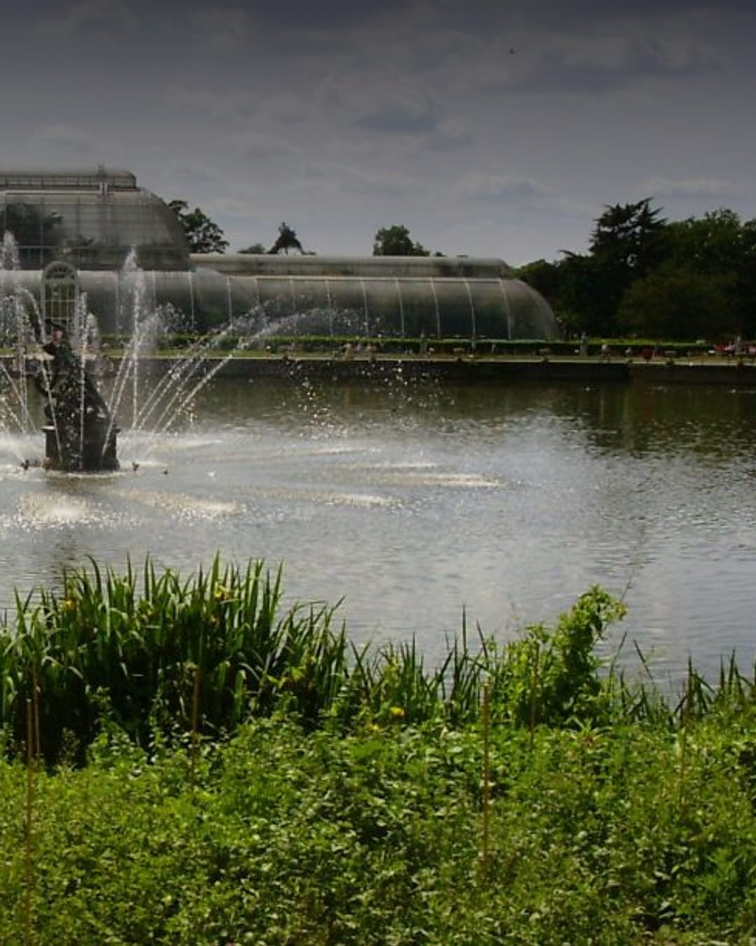Palm House at Kew Gardens in London