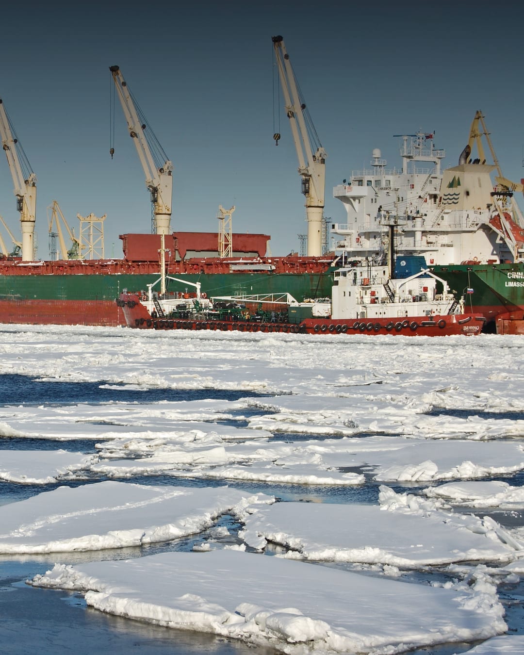 Big Port of Saint Petersburg in winter