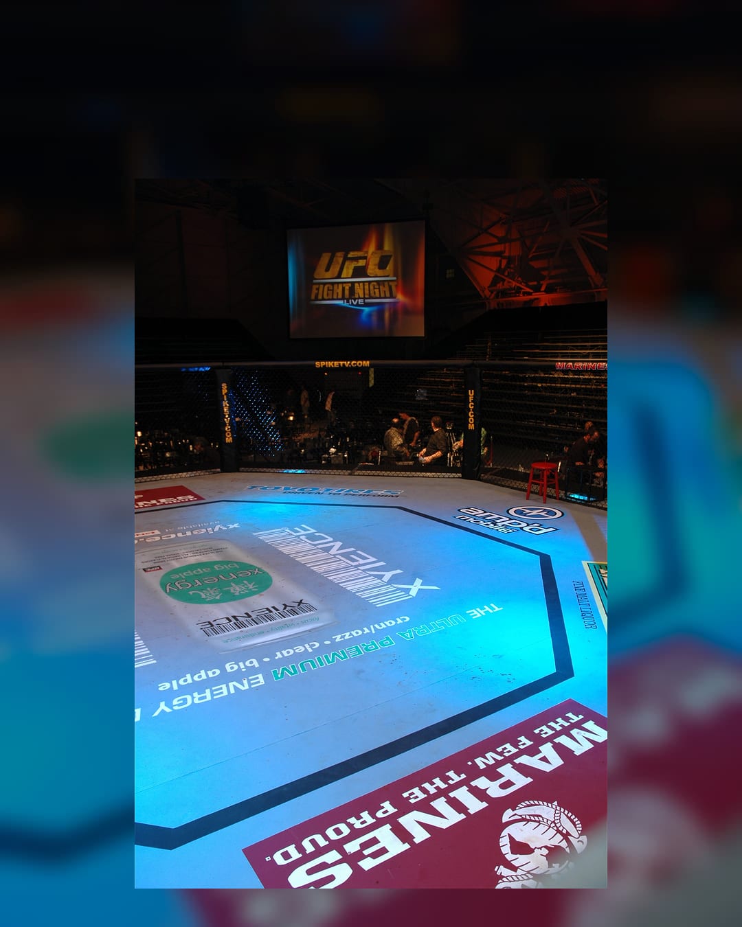 A UFC Octagon cage photographed by the U.S. Marine Corps