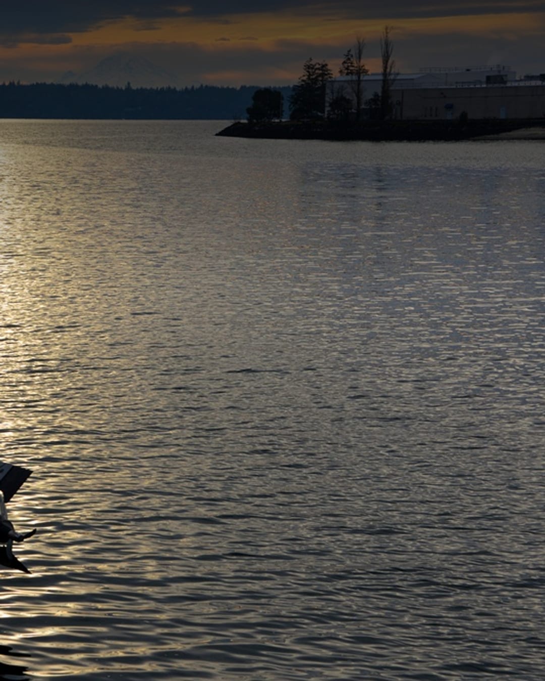 U.S. Navy sailors train with an Anduril Dive-LD large unmanned undersea vehicle in Keyport, Washington.