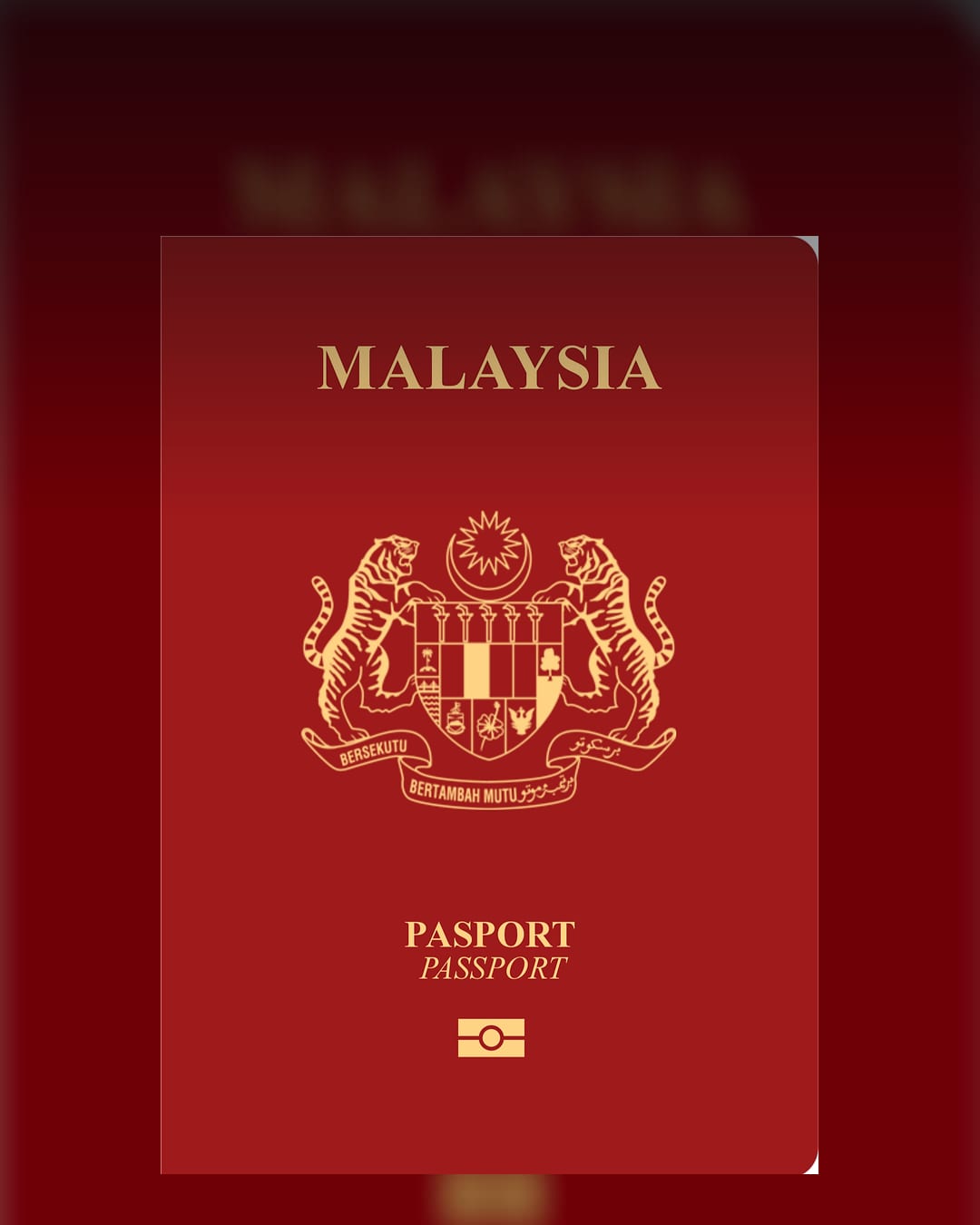 Malaysian international passport cover