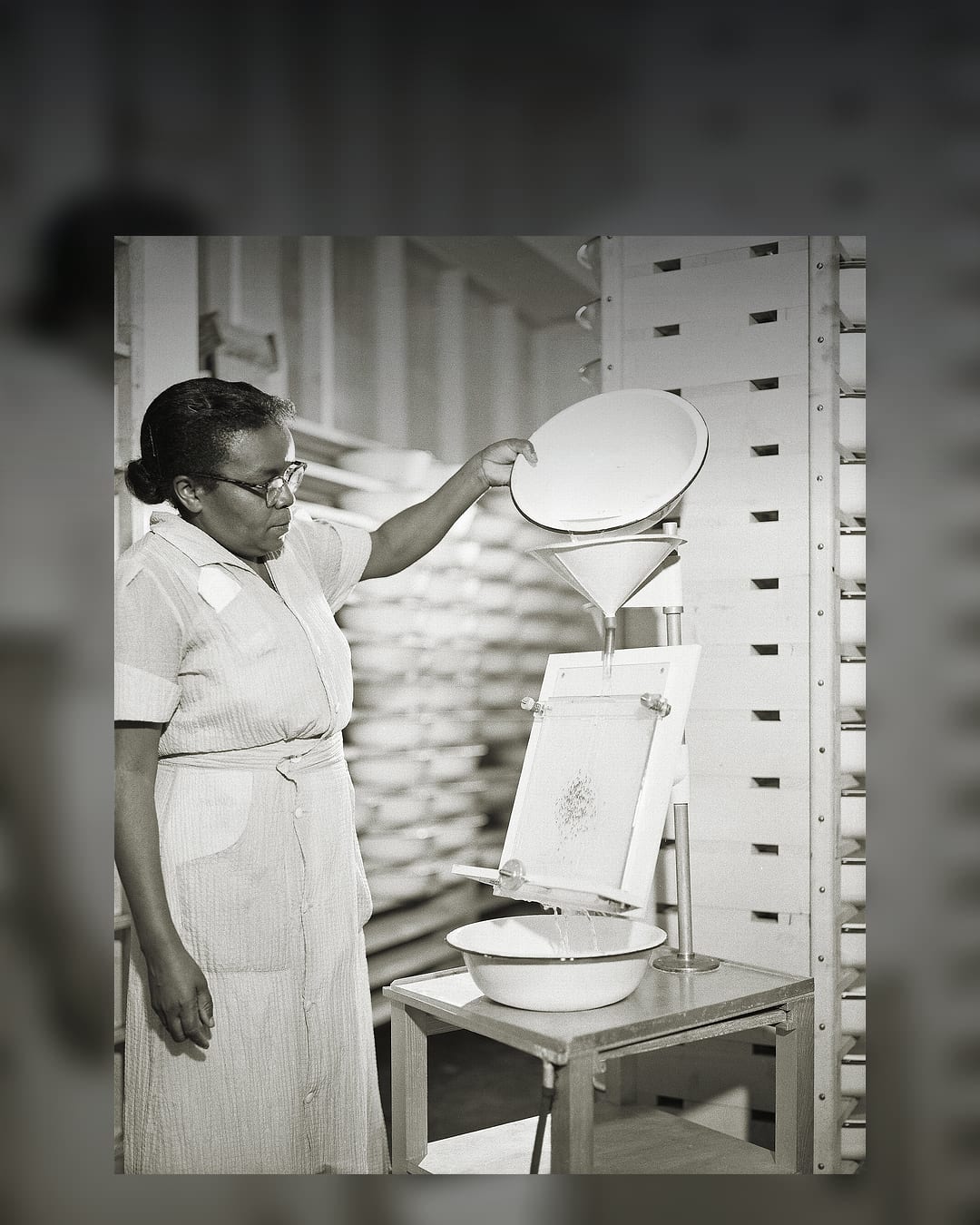 Laboratory technician separating mosquito larvae and pupae